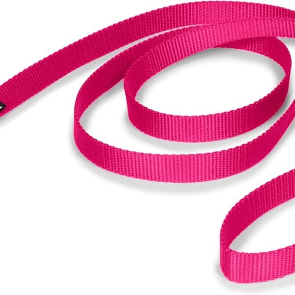 PetSafe Nylon Leash - Helps Maintain Secure Connection on Walks - Durable Pet Leash with Easy Clip - 3/4 in. x 6 ft. - Raspberry