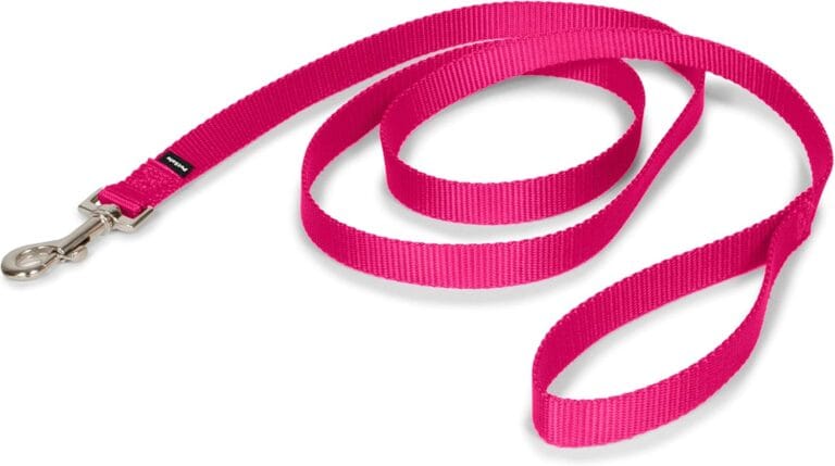 PetSafe Nylon Leash - Helps Maintain Secure Connection on Walks - Durable Pet Leash with Easy Clip - 3/4 in. x 6 ft. - Raspberry