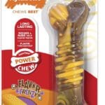 Nylabone Flavor Frenzy Dental Bone Power Chew Toy, Dog Toys for Aggressive Chewers, Philly Cheesesteak, Medium - Up to 35 lbs, 1 Count