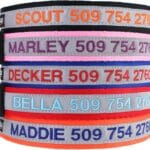 GoTags Reflective Personalized Dog Collar, Custom Embroidered with Pet Name and Phone Number in Black for Boy and Girl Dogs, 3 Adjustable Sizes, Small, Medium, and Large