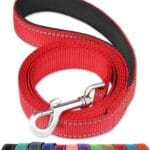 FunTags 6FT Reflective Dog Leash with Soft Padded Handle for Training,Walking Lead for Large & Medium Dog,1 Inch Wide,Red