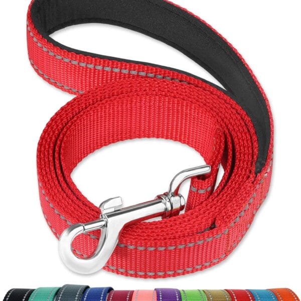 FunTags 6FT Reflective Dog Leash with Soft Padded Handle for Training,Walking Lead for Large & Medium Dog,1 Inch Wide,Red
