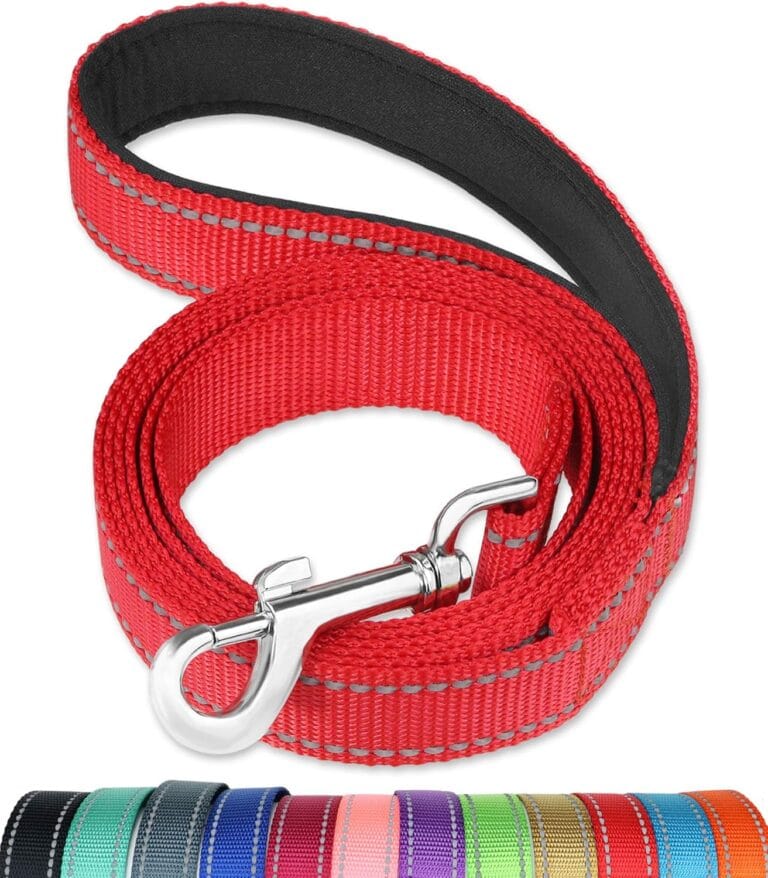 FunTags 6FT Reflective Dog Leash with Soft Padded Handle for Training,Walking Lead for Large & Medium Dog,1 Inch Wide,Red