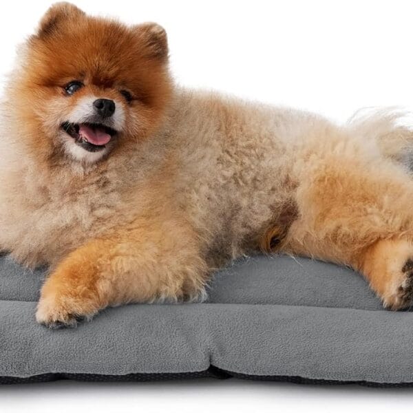 Bedsure Washable Dog Crate Pad for Small Dogs, Anti-Slip Puppy Kennel Dog Bed for Crate - Ultra Soft Fleece Flat Thin Pet Mat (Not Chew Proof), Light Grey 23"x17"