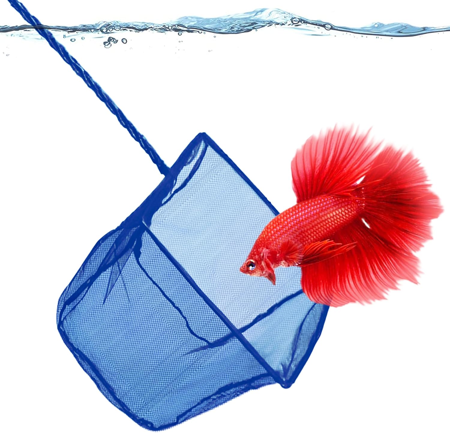 SunGrow Betta Fish Net, Secure Delicate Fin, 5x4 Inches With 11 Inches Handle, Extra Soft Nylon Net, Easy Routine Aquarium Tank Maintenance, Fish Tank Supplies SunGrow Betta Fish Net, Secure Delicate Fin, 5x4 Inches with 11 Inches Handle, Extra Soft Nylon Net, Easy Routine Aquarium Tank Maintenance, Fish Tank Supplies