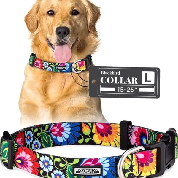 Lucky Love Dog - Adjustable Dog Collar with Easy Click Buckle for Small to Large Ones, Durable, & Comfortable for Male & Female Dogs, Pet Collar for Puppies & Adult Dogs - Blackbird, Large