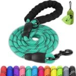 Joytale Dog Leash for Large Dogs, Heavy Duty Nylon Leashes with Comfortable Padded Handle and Highly Reflective Threads, Ideal for Walking and Training, Teal, 6'1/2''