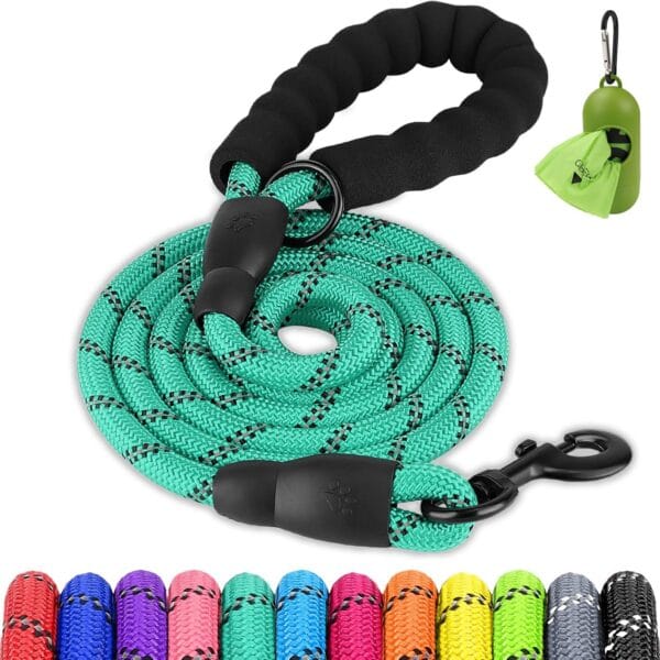 Joytale Dog Leash for Large Dogs, Heavy Duty Nylon Leashes with Comfortable Padded Handle and Highly Reflective Threads, Ideal for Walking and Training, Teal, 6'1/2''