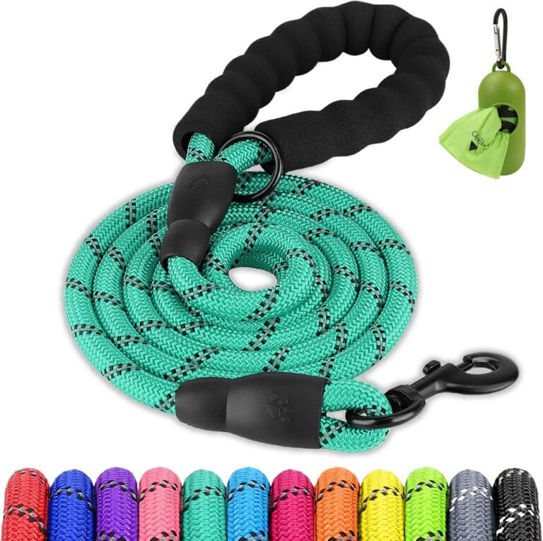 Joytale Dog Leash for Large Dogs, Heavy Duty Nylon Leashes with Comfortable Padded Handle and Highly Reflective Threads, Ideal for Walking and Training, Teal, 6'1/2''