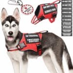 Service Dog Vest Harness+ID Tag+10 Patches,Metal Serivce Dog Tag&Reflective Emotional Support Dog Vest with Handle for Medium Dogs,Easy Put On/Off for Training/Walking/Everyday Red M