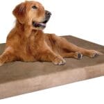 Dogbed4less Extra Large True Orthopedic Gel Memory Foam Dog Bed, Waterproof Liner and Durable Brown Cover, XL 47X29X4 Inch Fit 48"X30" Crate