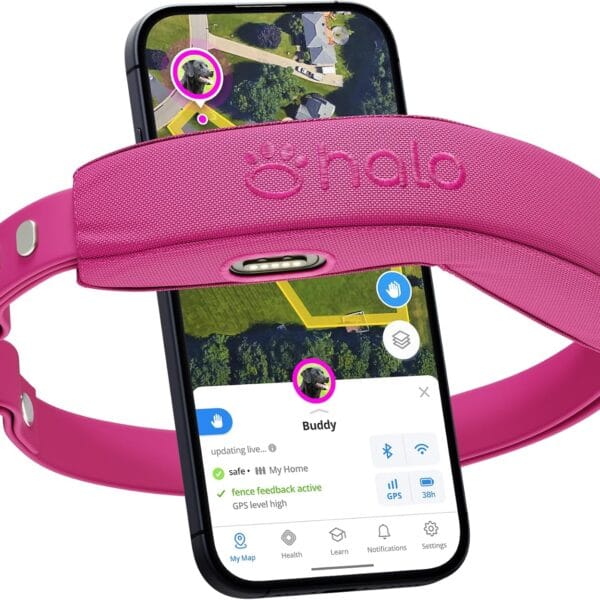Halo Collar 4, GPS Wireless Dog Fence & Dog Training Collar with GPS Tracker, Subscription Required, Waterproof, Orchid, One Size