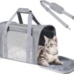 Airline Approved Pet Carrier 17"x11"x11"  Soft Sided Cat Dog Travel Bag for Small Pets up to 15 lbs, Portable Collapsible Pet Carrier Under Seat with Mesh Ventilation & Shoulder Strap (Grey)