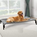 Elevated Dog Bed, Raised Outdoor Dog Bed for Extra Large Sized Dog, Portable Cooling Pet Cot with Breathable & Washable Mesh, Indoor & Outdoor Pet Hammock with Skid-Resistant Feet.