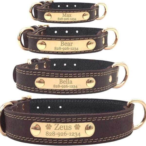 Personalized Dog Collar - Engraved Soft Leather - Custom Small Medium or Large Size with Name Plate (Medium, Brown)