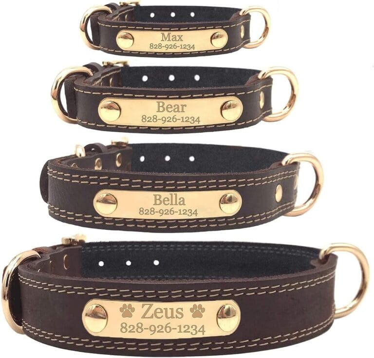 Personalized Dog Collar - Engraved Soft Leather - Custom Small Medium or Large Size with Name Plate (Medium, Brown)