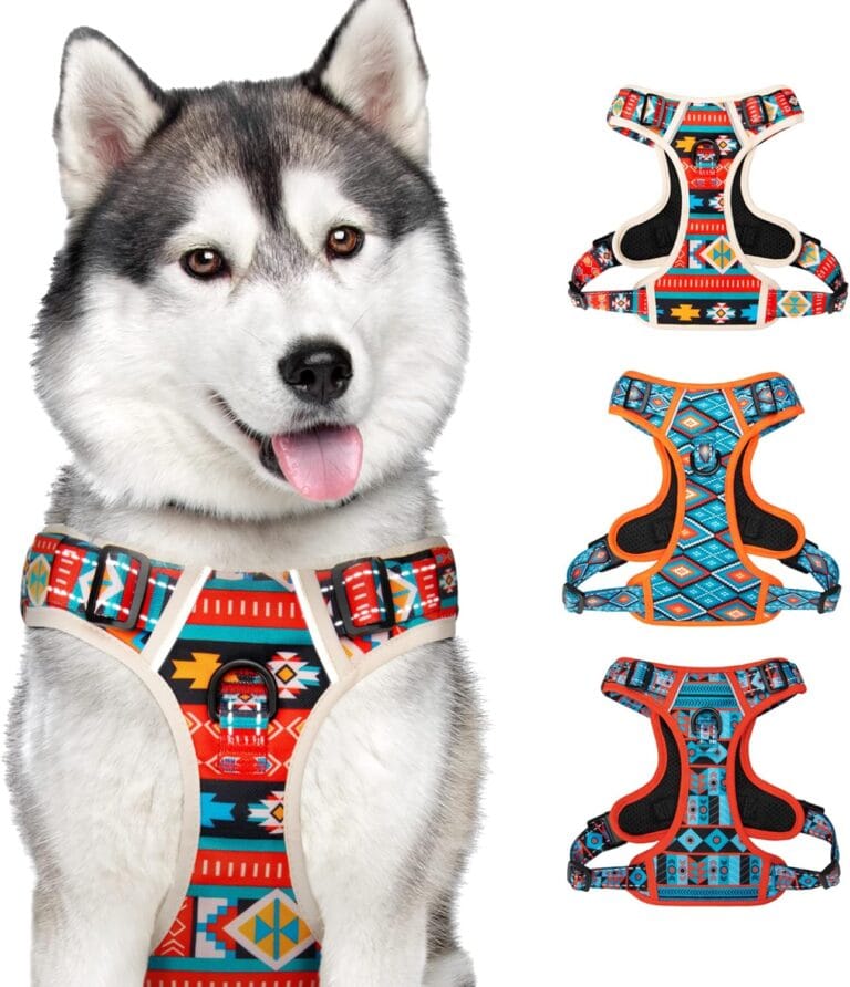 CollarDirect No Pull Reflective Dog Harness with Handle and Front Clip, Adjustible Soft Padded Vest for Small to Large Dogs Training and Walk (Size L, Pattern PT2)