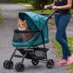 Pet Gear No-Zip Happy Trails Pet Stroller for Cats/Dogs, Zipperless Entry, Easy Fold with Removable Liner, Safety Tether, Storage Basket + Cup Holder, Jade