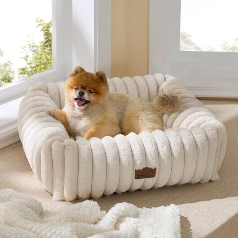 Bedsure Cute Dog Bed for Small Medium Dogs - Washable Furry Puppy Beds, Rectangle Orthopedic Corduroy Fleece Pet Beds with Removable Zipper Cover, 25x21x7inches, Cream