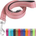 Reflective Nylon Dog Leash for Walking,Strong Dog Leash with Padded Handle for Puppy and Small Dogs,4 FT,Pink