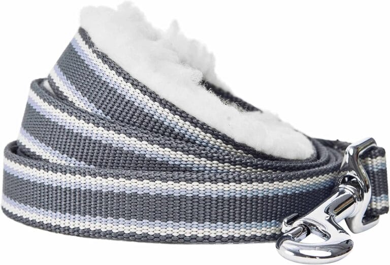 Blueberry Pet Multi-Colored Stripe Fleece Padded Dog Leash with Soft & Comfortable Handle, 5 ft x 5/8", Grey, Small, Leashes for Dogs