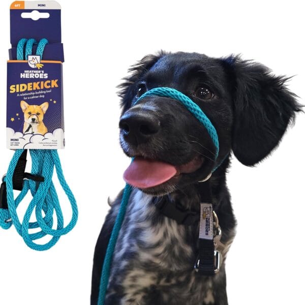 Heather's Heroes Sidekick Dog Headcollar with Leash - Sidekick Leash for Dogs, Effective Dog Training Tool for Leash Reactivity and Behavior Issues (Turquoise, Mini (1/4"))