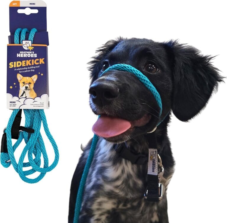 Heather's Heroes Sidekick Dog Headcollar with Leash - Sidekick Leash for Dogs, Effective Dog Training Tool for Leash Reactivity and Behavior Issues (Turquoise, Mini (1/4"))
