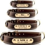 Personalized Dog Collar - Custom Leather Dog Collar with Engravable Nameplate - Durable Name Tag Collar - Customizable Dog Collar - Comfortable ID Collars for Small, Medium, Large Dogs (Large)