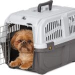 MidWest Homes for Pets Skudo Plastic Carrier, 22-Inch Ideal for XS Dog Breeds with an Adult Weight up to 12 Pounds