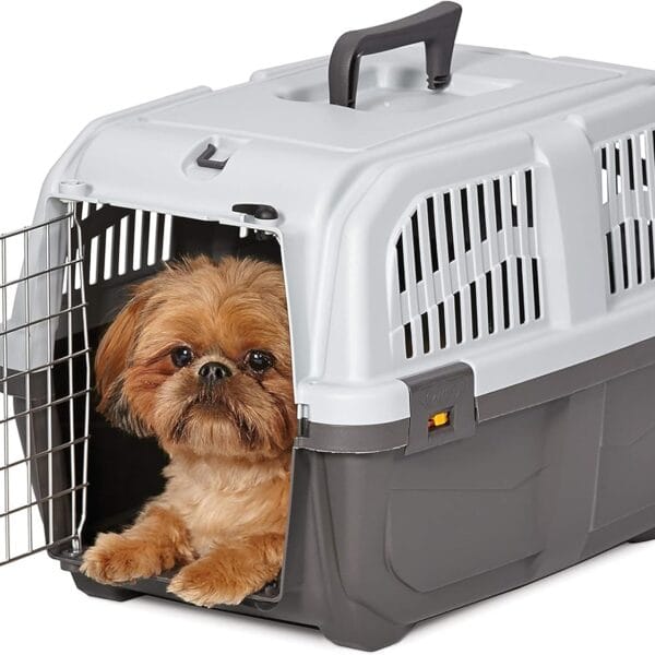 MidWest Homes for Pets Skudo Plastic Carrier, 22-Inch Ideal for XS Dog Breeds with an Adult Weight up to 12 Pounds