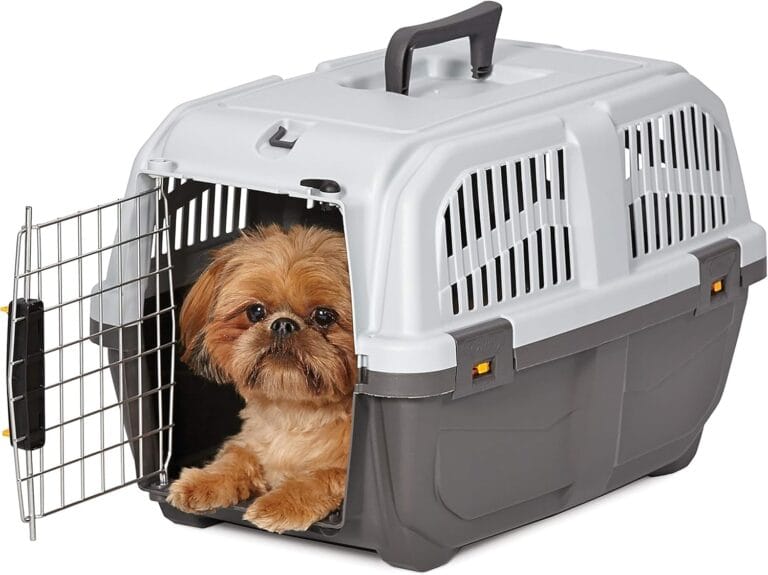 MidWest Homes for Pets Skudo Plastic Carrier, 22-Inch Ideal for XS Dog Breeds with an Adult Weight up to 12 Pounds