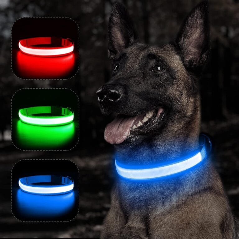 BSEEN LED Dog Collar - Reflective Light Up Dog Collars, Waterproof Lighted Pet Collars, Adjustable Dog Glow Collar, Rechargeable Dog Lights for Night Walking (Royal Blue, X-Large)