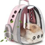 Lollimeow Cat Carrier Backpack, Bubble Expandable Backpack Carrier, Pets and Small Dogs,Airline-Approved, Designed for Travel, Hiking, Walking & Outdoor Use (Front Expandable-Pink)