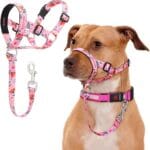 No-Pull Dog Head Collar, Print Head Halter for Dogs, Gentle Lead Collar to Stop Heavy Pulling, Anti-Pull Training Muzzle Leash for Easy Control on Walks (Pink, Small)
