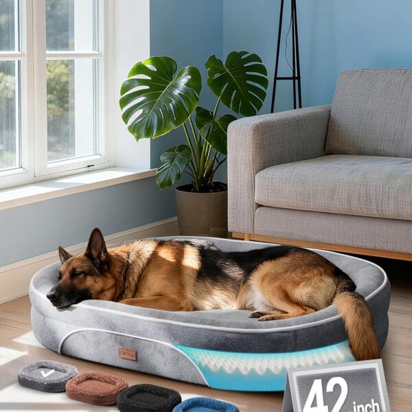 OhGeni Orthopedic Big Dog Couch Pet Sofa XL Sized Cat Beds with Comfort Foam Support, Soft Comfortable Fabric, Machine Washable Waterproof Removable Cover, 42-Inch (Gray)