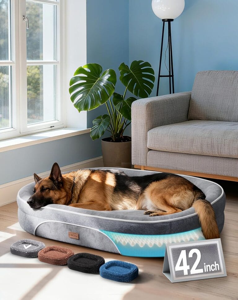 OhGeni Orthopedic Big Dog Couch Pet Sofa XL Sized Cat Beds with Comfort Foam Support, Soft Comfortable Fabric, Machine Washable Waterproof Removable Cover, 42-Inch (Gray)
