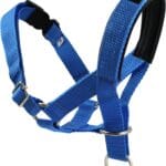 Dog Head Collar Halter Blue 5 Sizes (M: 8.25"-10.25" Snout)