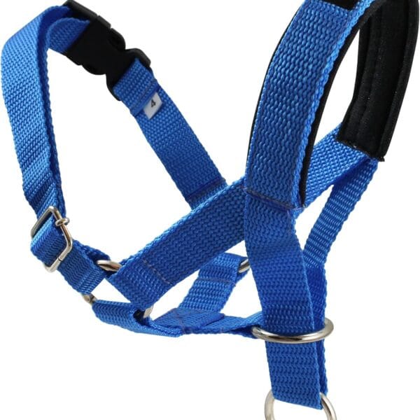 Dog Head Collar Halter Blue 5 Sizes (M: 8.25"-10.25" Snout)