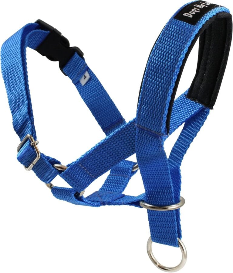 Dog Head Collar Halter Blue 5 Sizes (M: 8.25"-10.25" Snout)