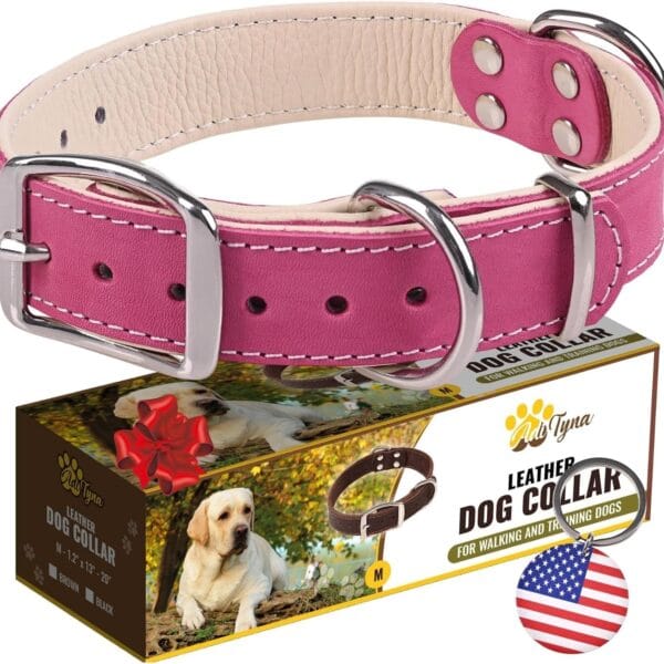 ADITYNA Heavy-Duty Pink Leather Dog Collar for Medium Dogs - Lined with Soft Leather - Girl Dog Collar for Walking, Training, and Hiking