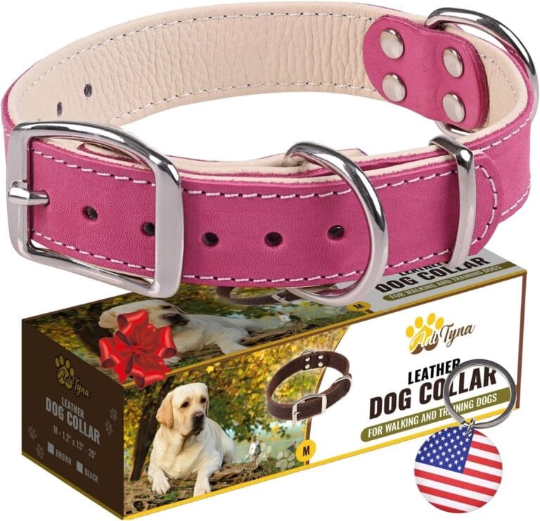 ADITYNA Heavy-Duty Pink Leather Dog Collar for Medium Dogs - Lined with Soft Leather - Girl Dog Collar for Walking, Training, and Hiking