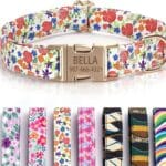 Personalized Dog Collars Custom Engraving Pet Name and Phone Number Cute Floral Girl Boy Dog Collar Adjustable for Small, Medium, Large Dogs (Floral)
