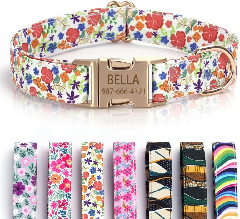 Personalized Dog Collars Custom Engraving Pet Name and Phone Number Cute Floral Girl Boy Dog Collar Adjustable for Small, Medium, Large Dogs (Floral)