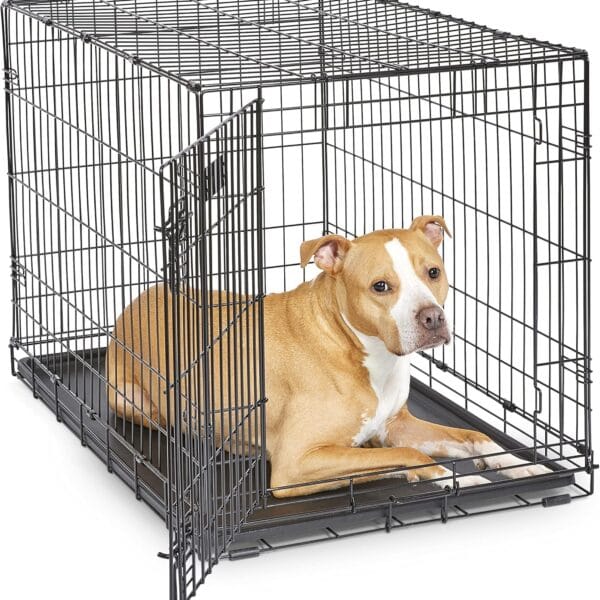 MidWest Homes for Pets 36-Inch iCrate Folding Dog Crate with Divider Panel, Leak-Proof Tray & Secure Latches  Metal Wire Kennel for Medium Large Breeds  Portable, Durable & Easy to Assemble