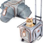 Premium Expandable Pet Carrier with Wheels - Airline Approved Rolling Travel Carrier for Small Dogs & Cats - Detachable Design with Name Tag, Seatbelt Buckles & Treat Pocket (18x11x11) - Ice Gray