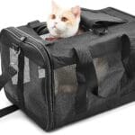HITCH ScratchMe Pet Travel Carrier Soft Sided Portable Bag for Cats, Small Dogs, Kittens or Puppies, Collapsible, Durable, Airline Approved, Carry Your Pet with You Safely and Comfortably (M)