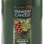 Yankee Candle Balsam & Cedar Scented, Classic Large 22oz Dual-Wick Tumbler Candle, Over 75 Hours Burn Time, Ideal for Holiday Season & Gifting