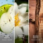 Nautica Voyage Eau De Toilette, Cologne and Fragrance For Men, Fresh, Romantic, Fruity Scent Woody, Aquatic Notes of Apple, Water Lotus, Cedarwood, and Musk Ideal Day Wear, Long Lasting 6.7Fl oz