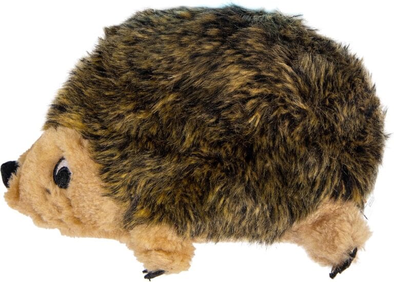 Outward Hound, Hedgehogz Plush Dog Toy, Medium
