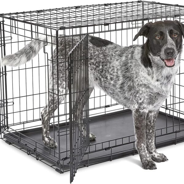 MidWest Homes for Pets 36-Inch Two-Door iCrate Folding Dog Crate with Divider Panel, Leak-Proof Tray & Secure Latches  Metal Wire Kennel for M-L Breeds  Portable, Durable & Easy to Assemble